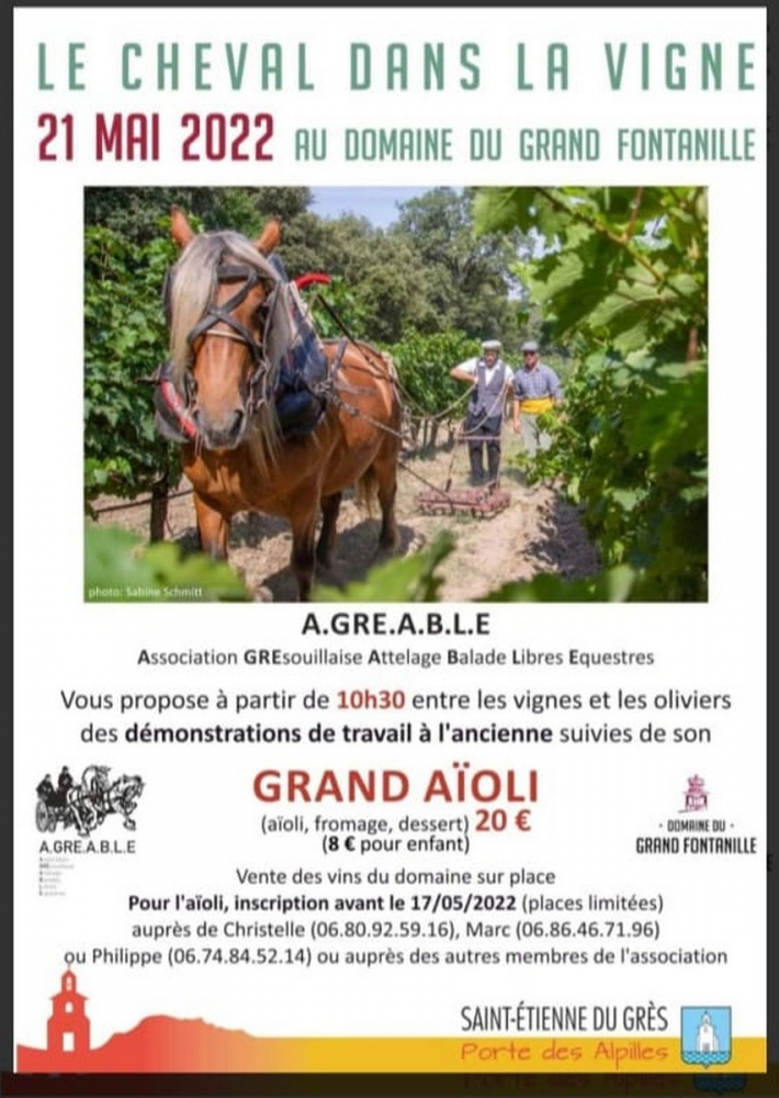 Le Cheval dans la Vigne à Saint Etienne du Grès au domaine du Grand Fontanille